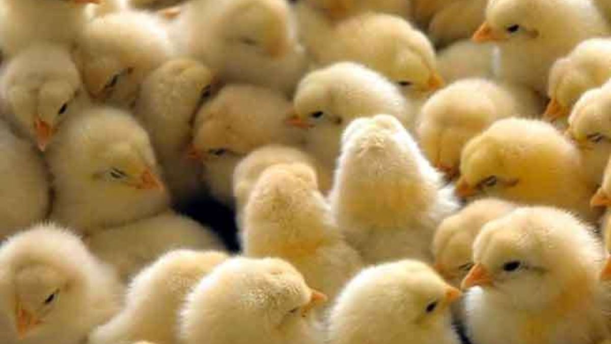 News Article Hero Image