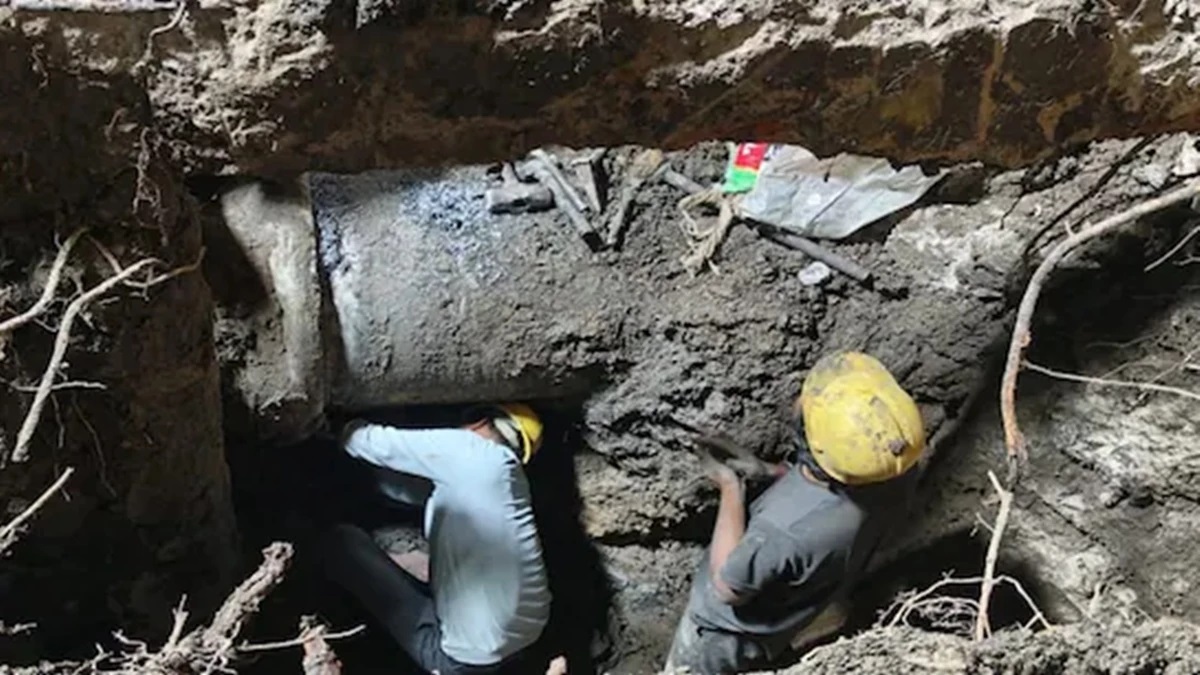 News Article Hero Image