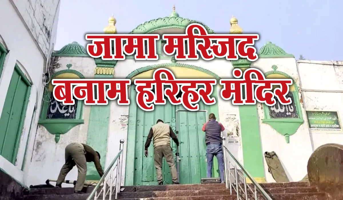 News Article Hero Image