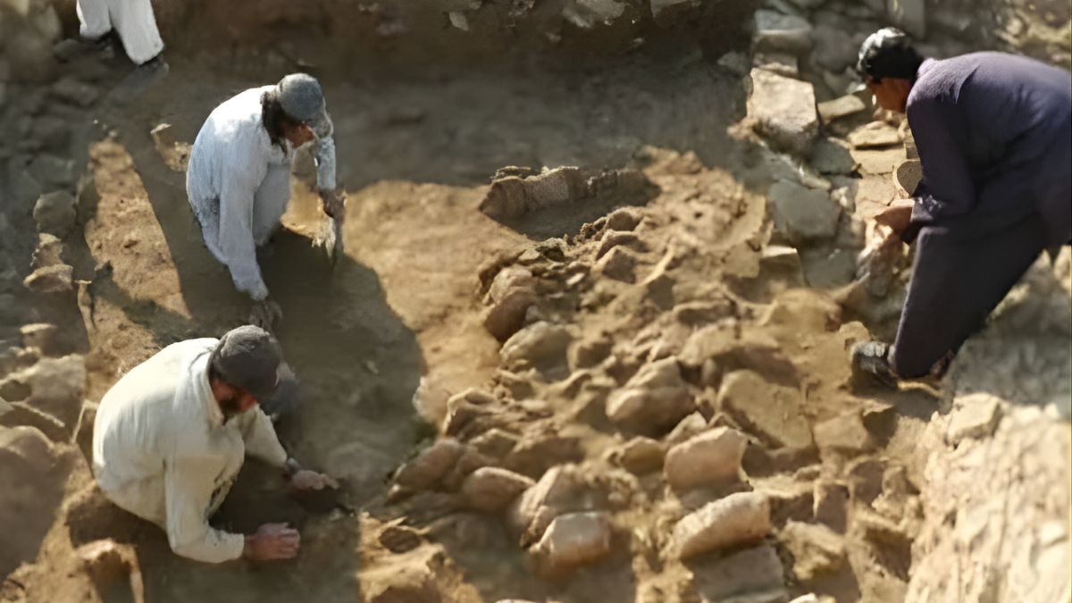 News Article Hero Image