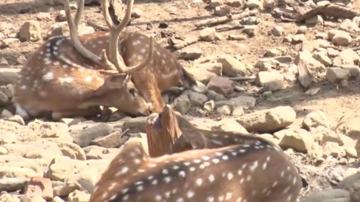 News Article Hero Image