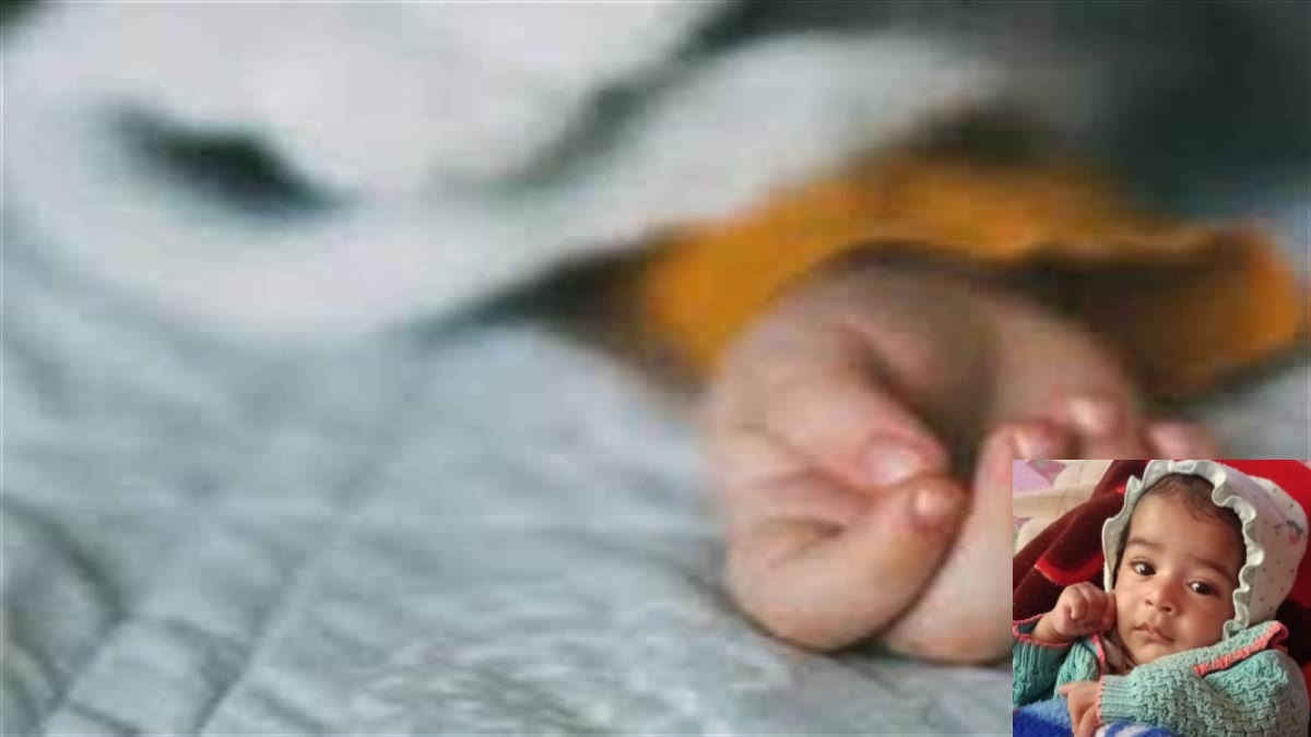 News Article Hero Image