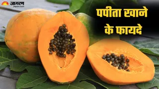 पपीता खाने के 7 हैरान कर देने वाले फायदे जानकर रह जाएंगे दंग (Picture Credit - Canva)