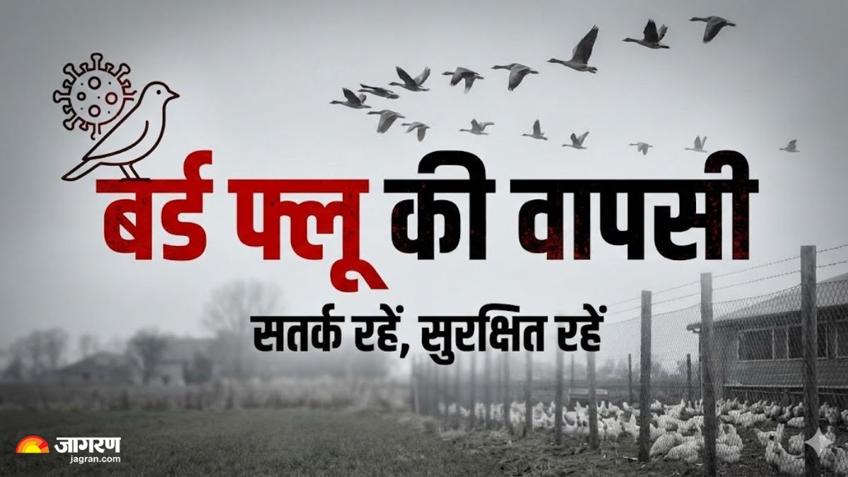 News Article Hero Image