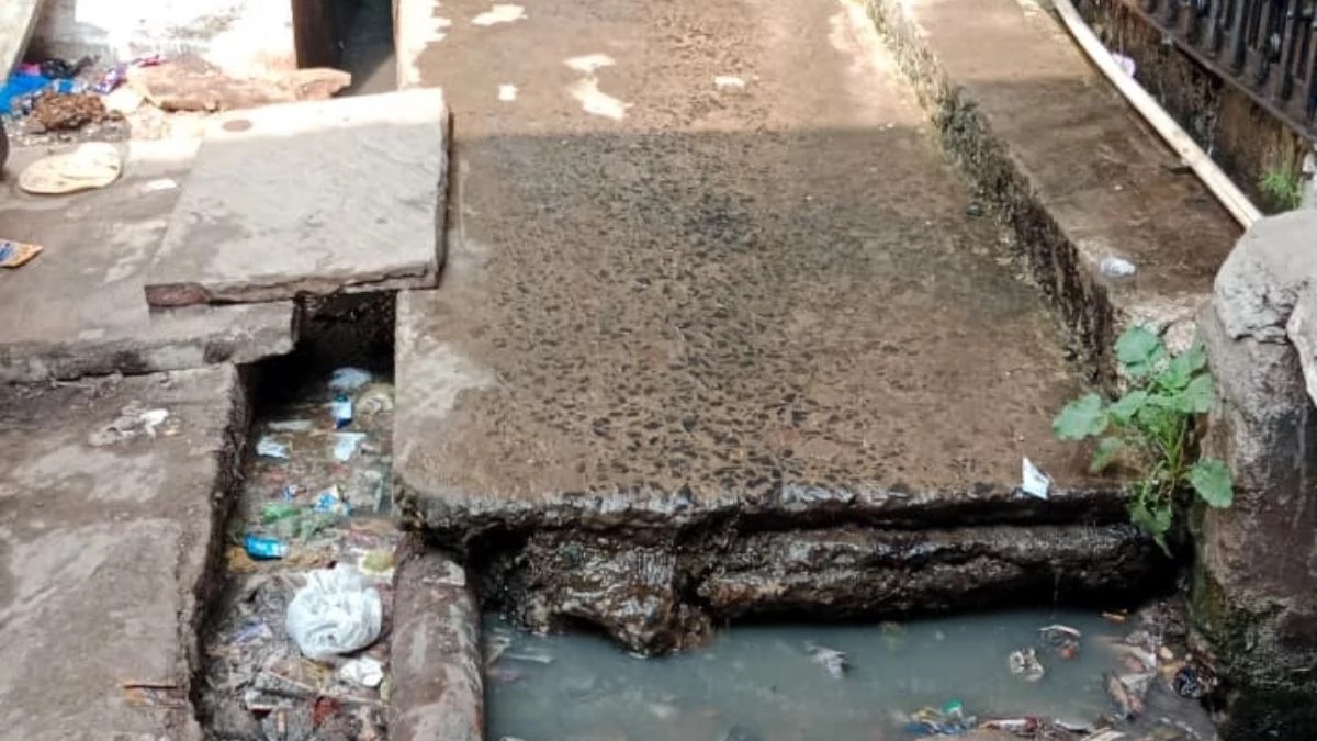 News Article Hero Image