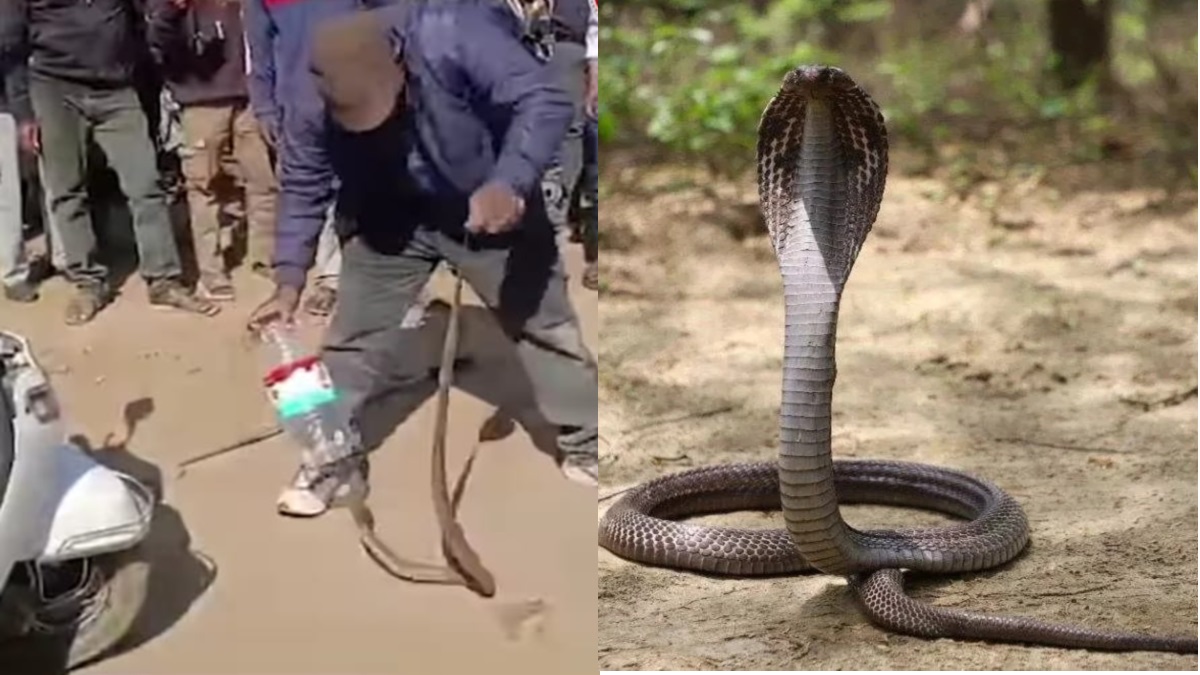 News Article Hero Image