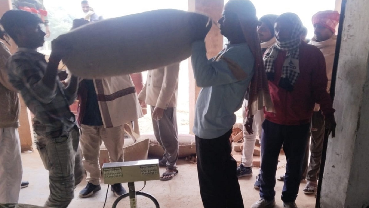 News Article Hero Image