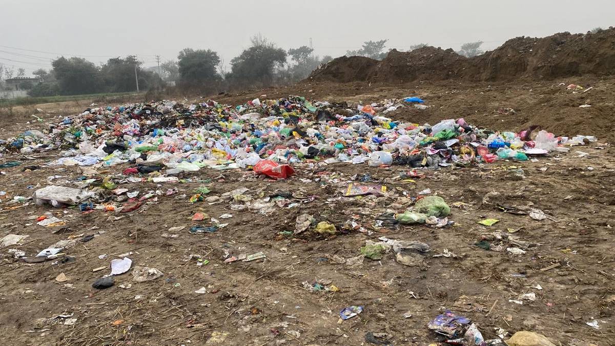 News Article Hero Image