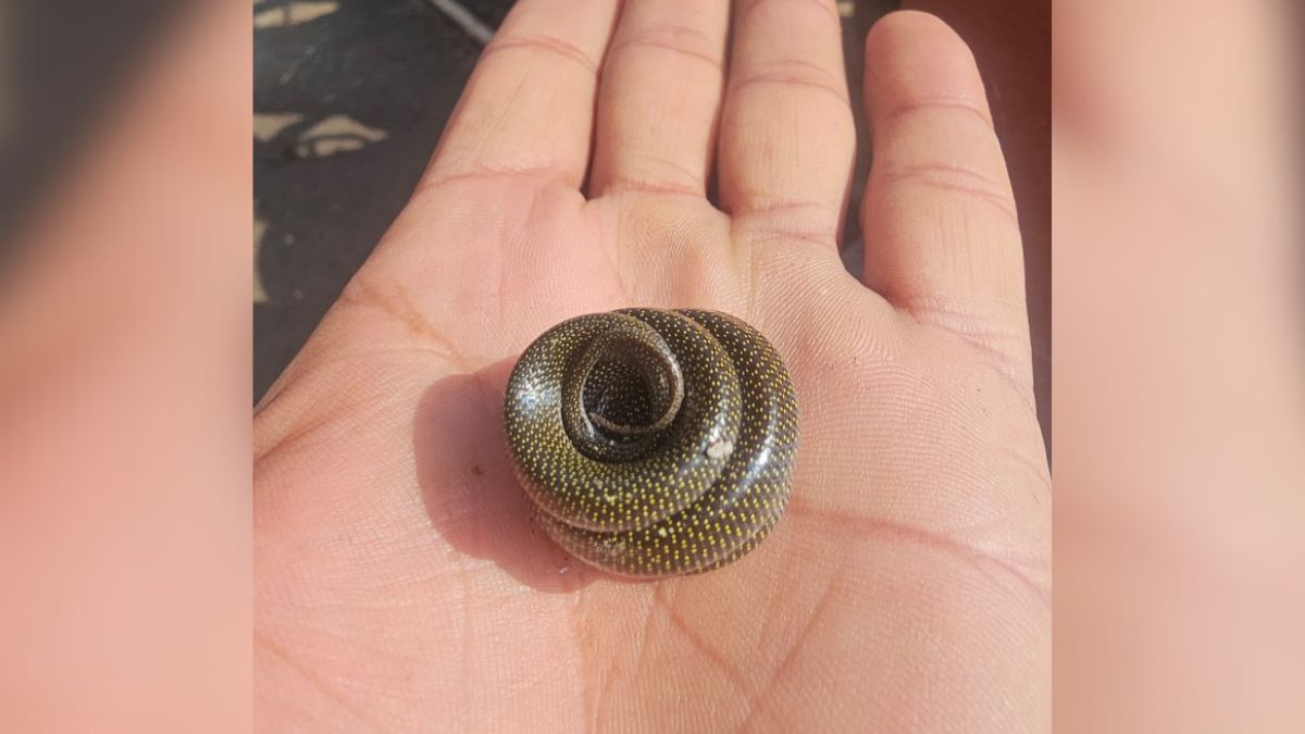 News Article Hero Image