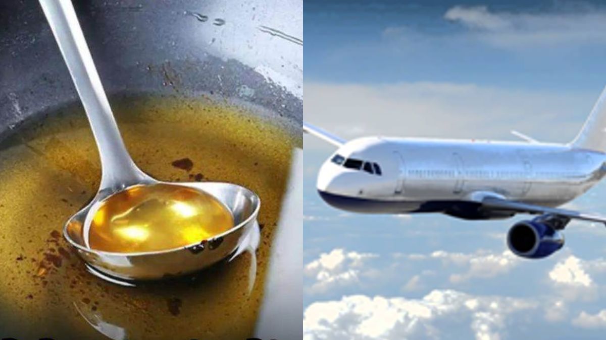 News Article Hero Image