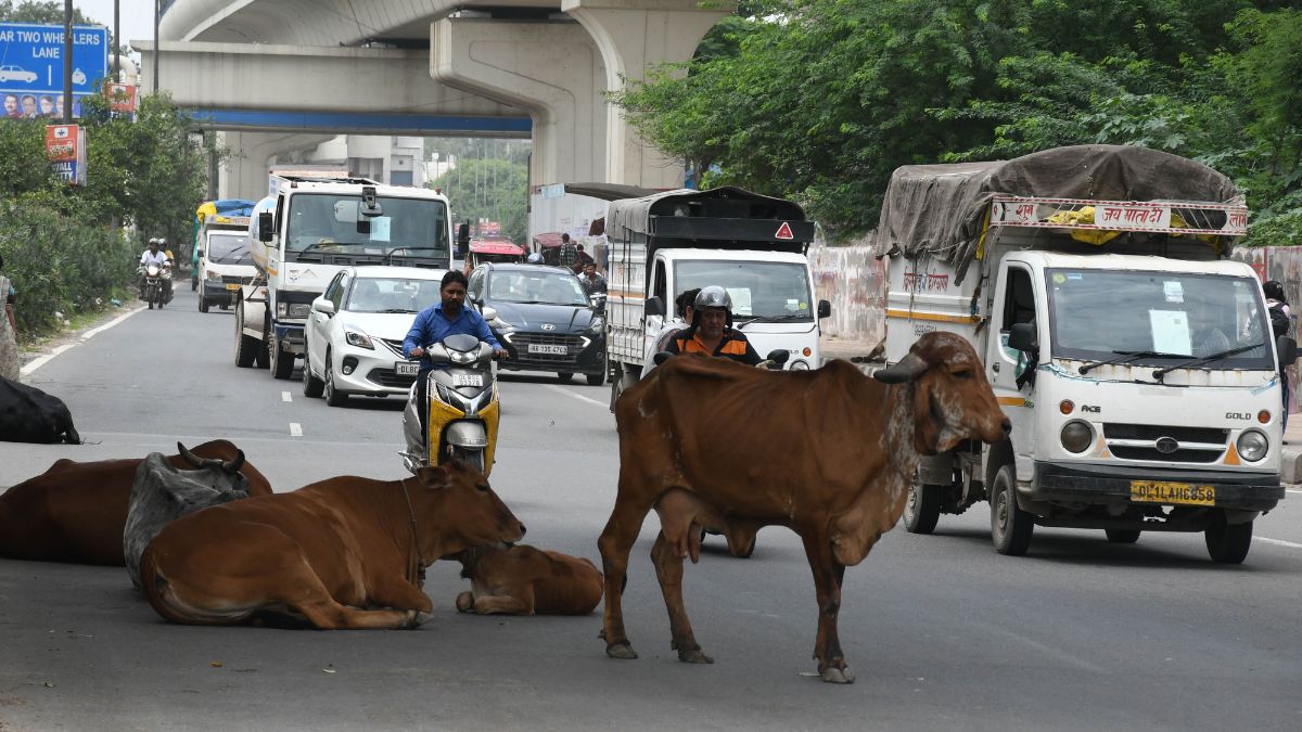 News Article Hero Image