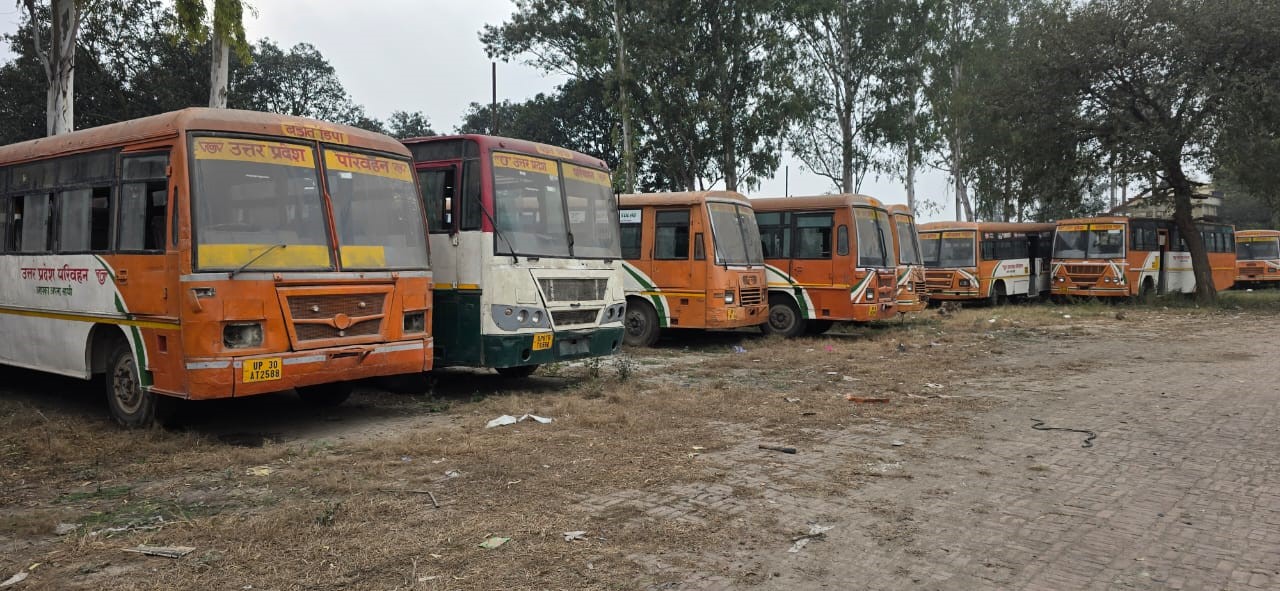 News Article Hero Image