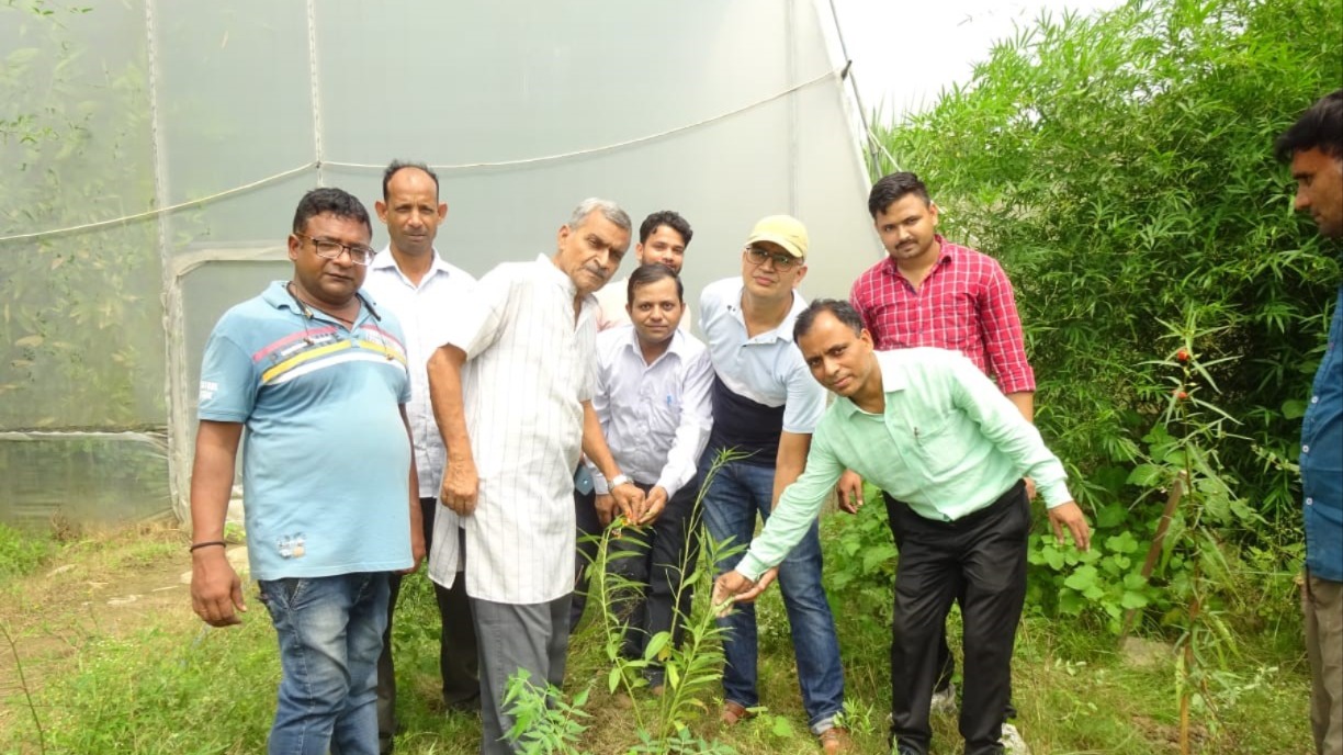 News Article Hero Image