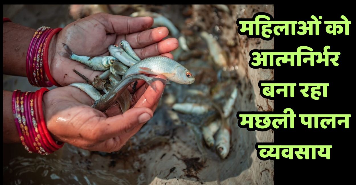 News Article Hero Image