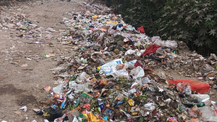 News Article Hero Image