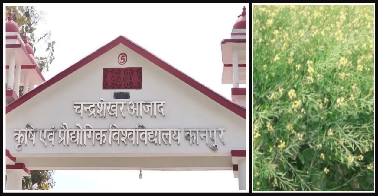 News Article Hero Image