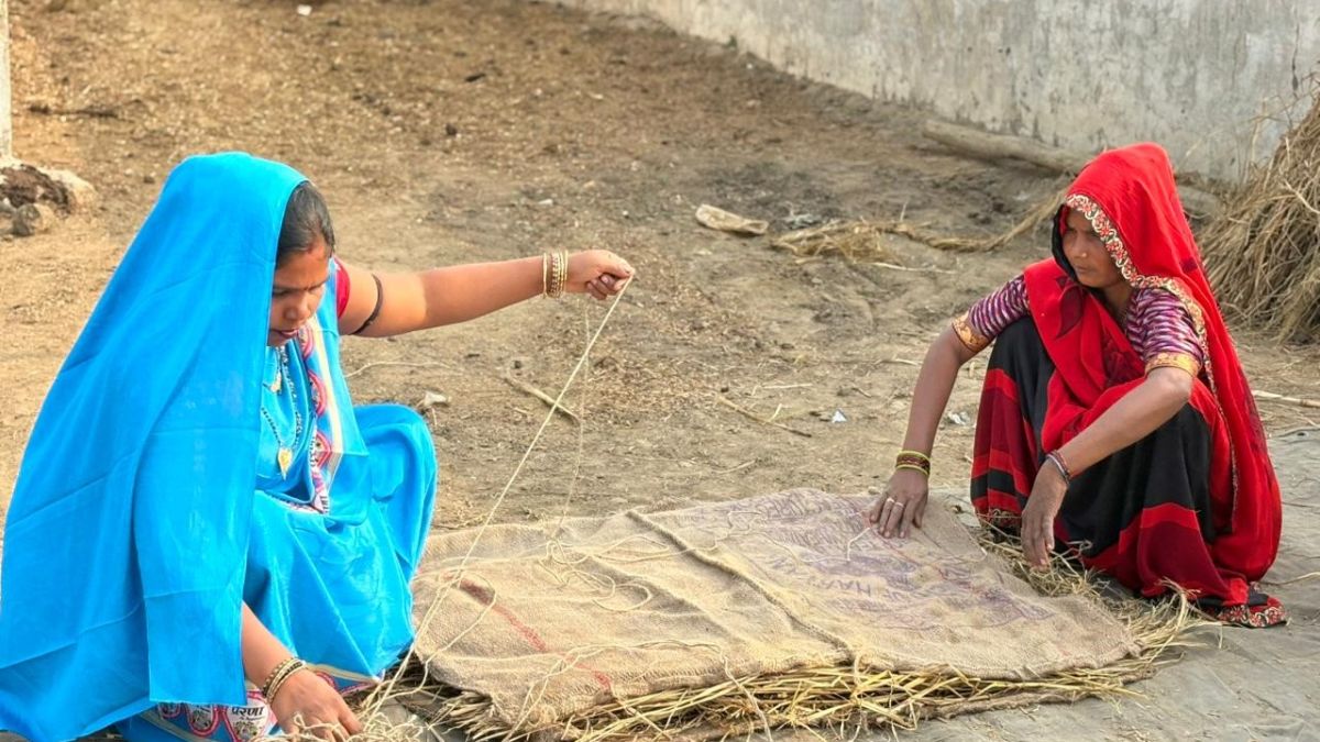 News Article Hero Image