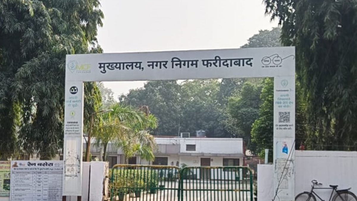 News Article Hero Image