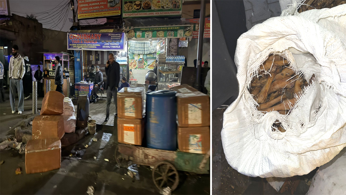 News Article Hero Image