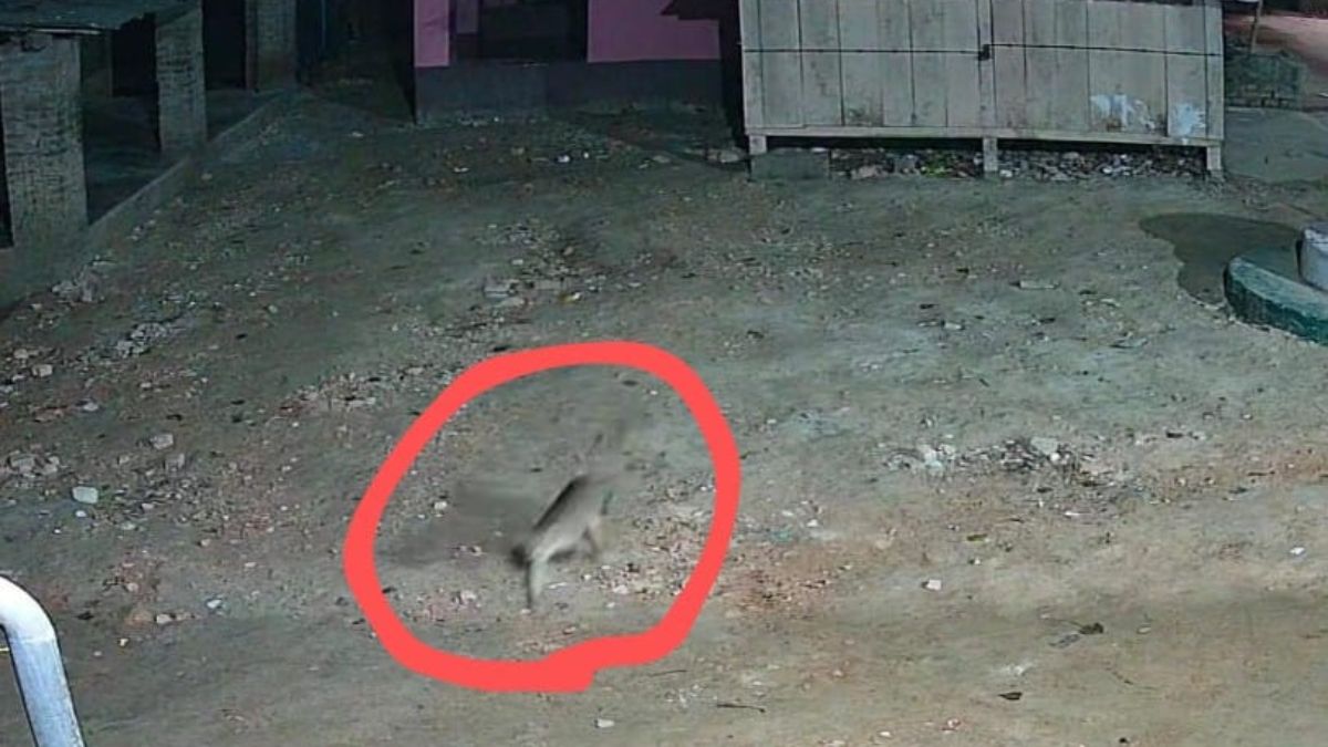 News Article Hero Image