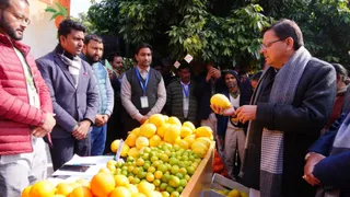 राजकीय उद्यान सर्किट हाउस गढ़ीकैंट में मुख्यमंत्री पुष्कर सिंह धामी ने उत्तराखंड माल्टा महोत्सव का शुभारंभ किया।