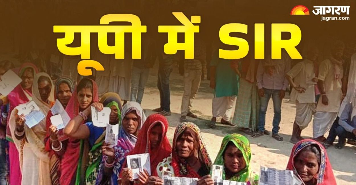 News Article Hero Image