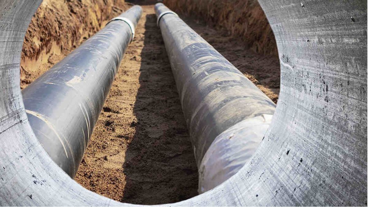 News Article Hero Image