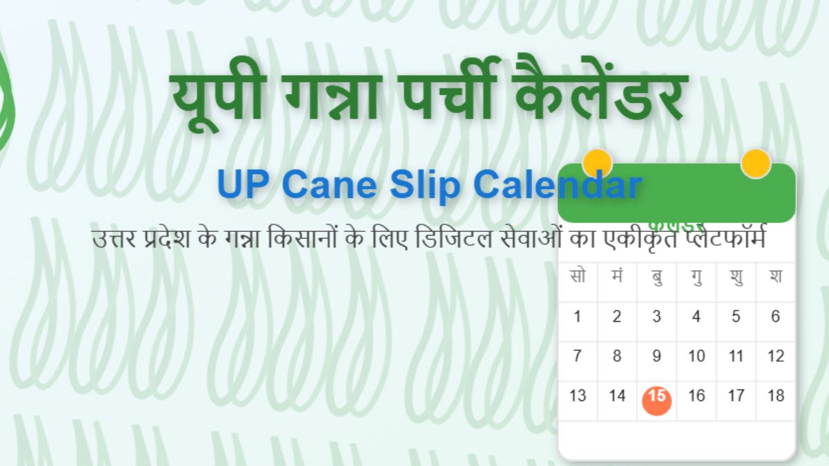 News Article Hero Image