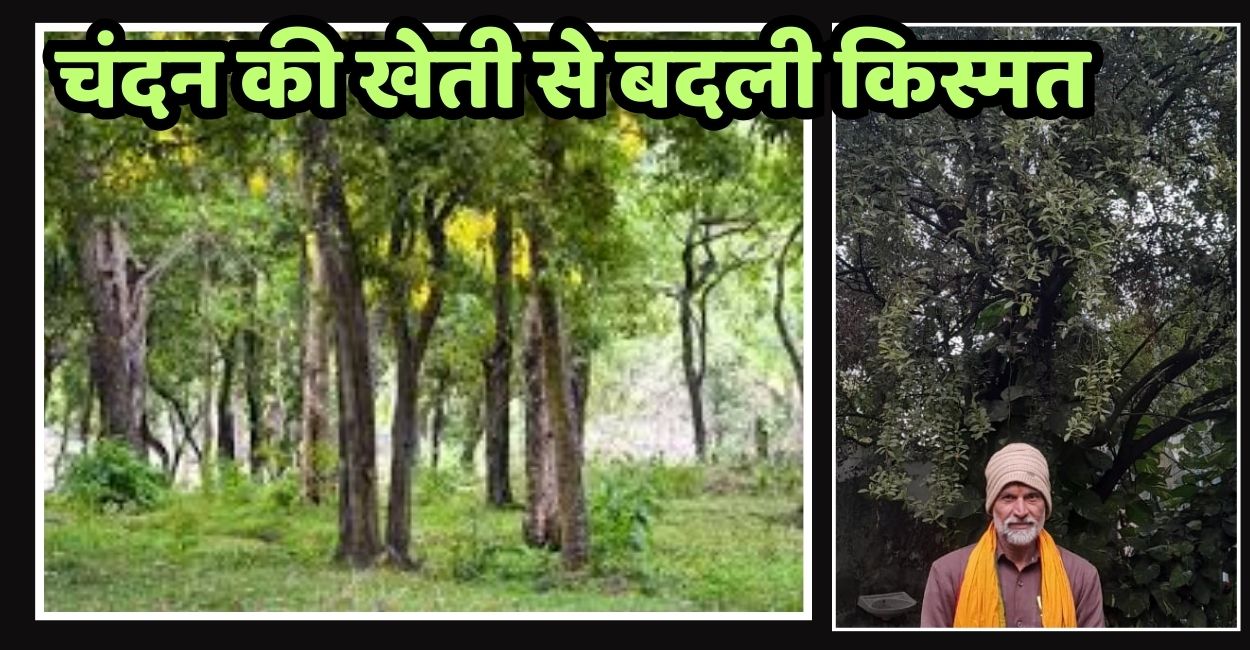 News Article Hero Image