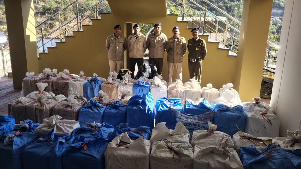 News Article Hero Image