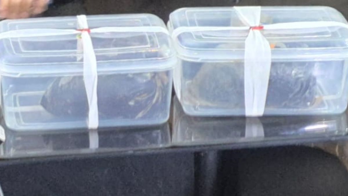 News Article Hero Image