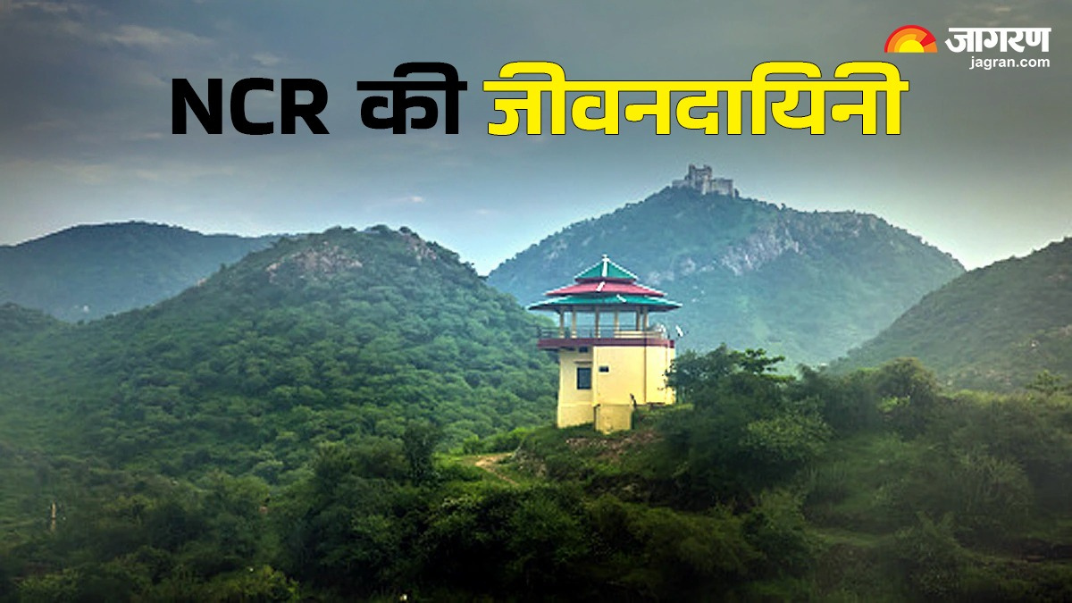 News Article Hero Image