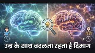 दिमाग का विकास: नई स्टडी में सामने आया चौंकाने वाला सच