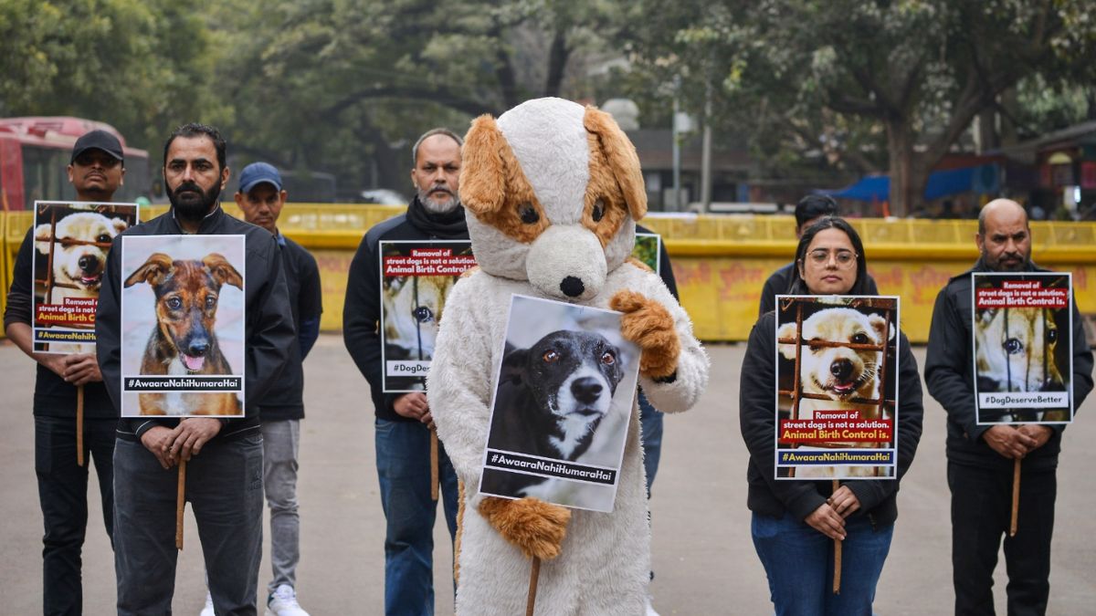 News Article Hero Image