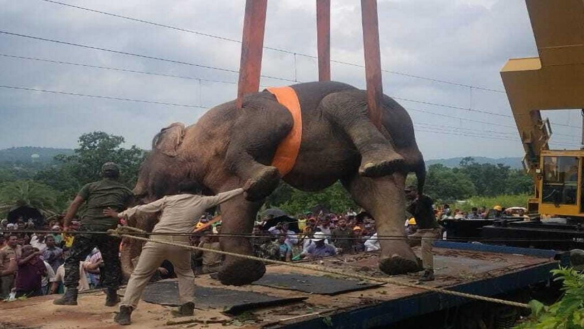 News Article Hero Image