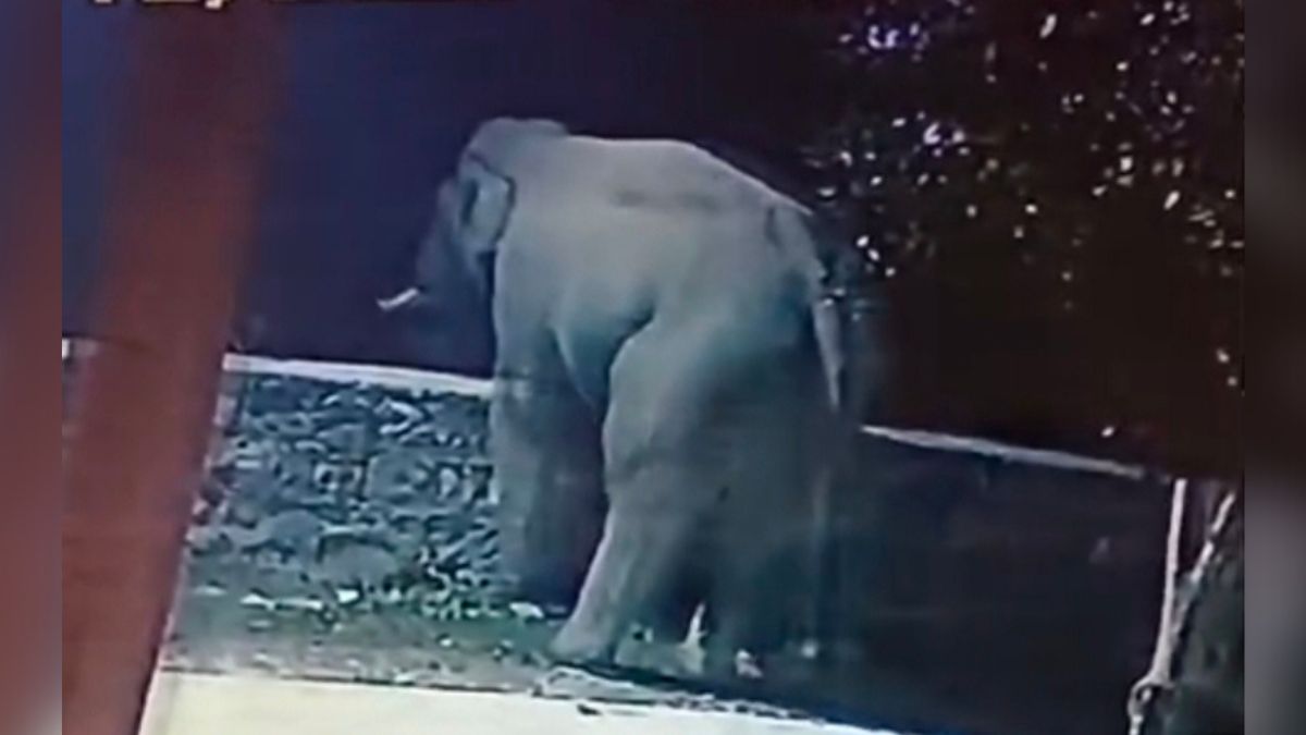 News Article Hero Image