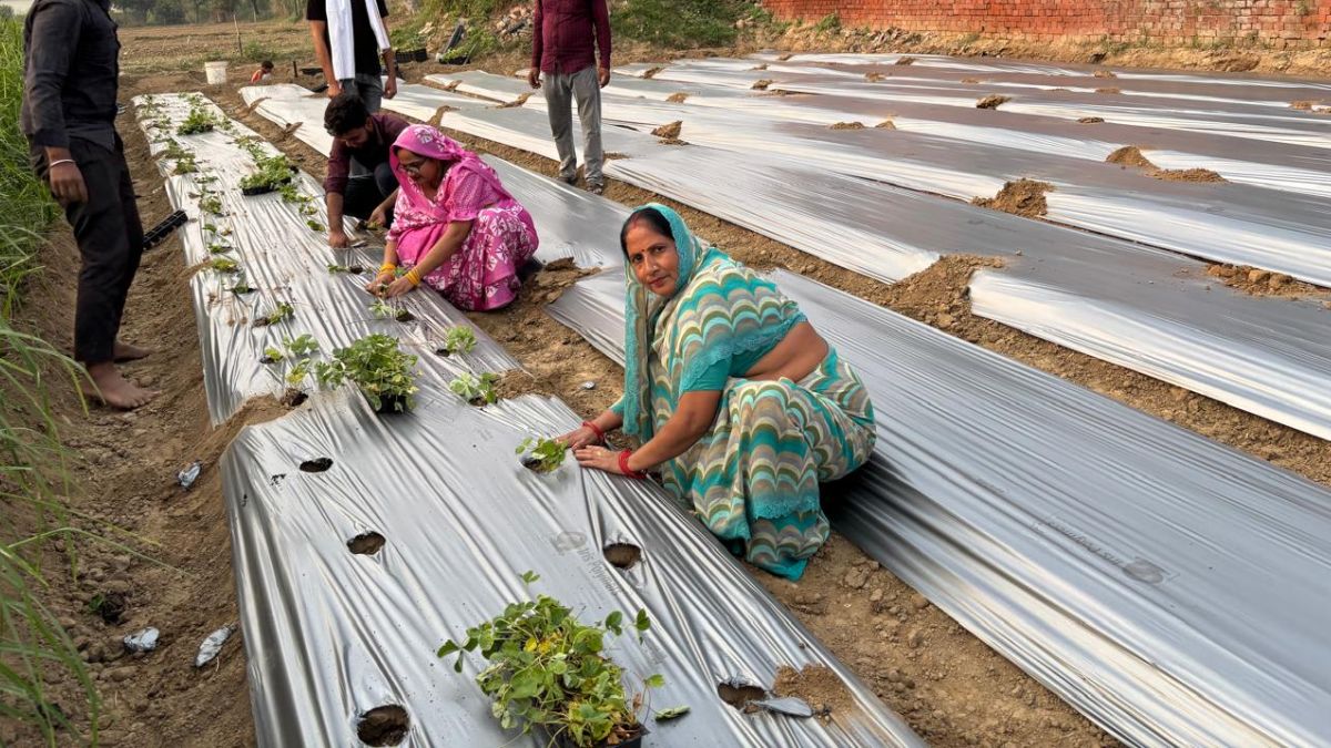 News Article Hero Image