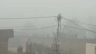 बरेली में कोहरा। फाइल