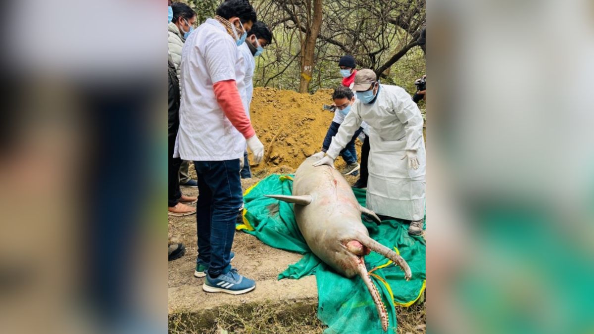 News Article Hero Image