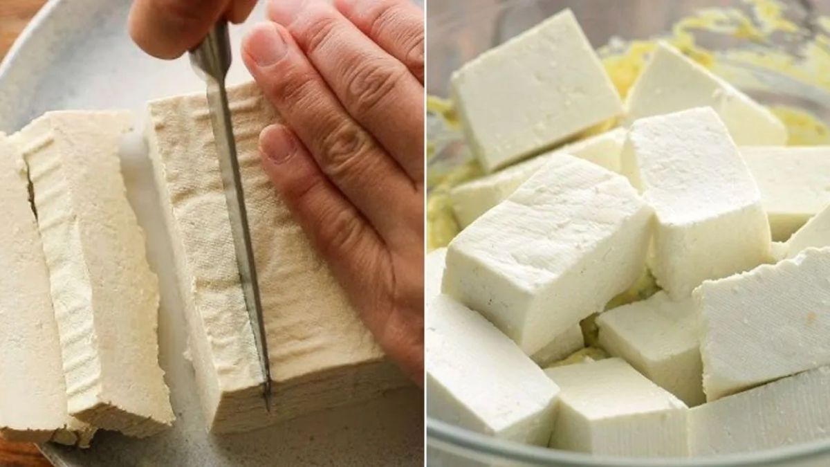 News Article Hero Image