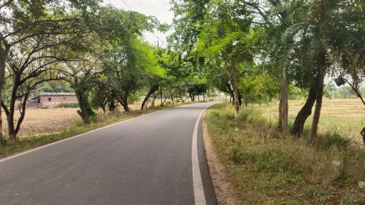 News Article Hero Image