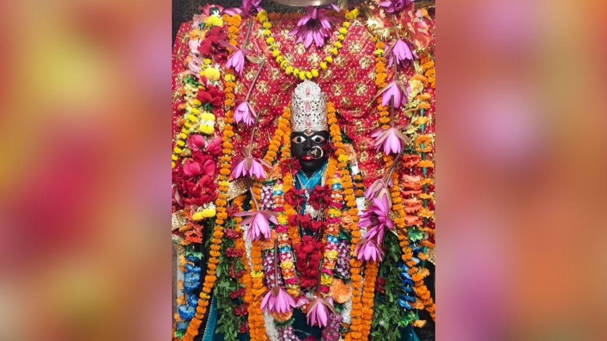 News Article Hero Image