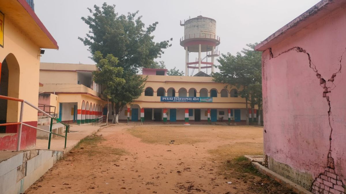 News Article Hero Image