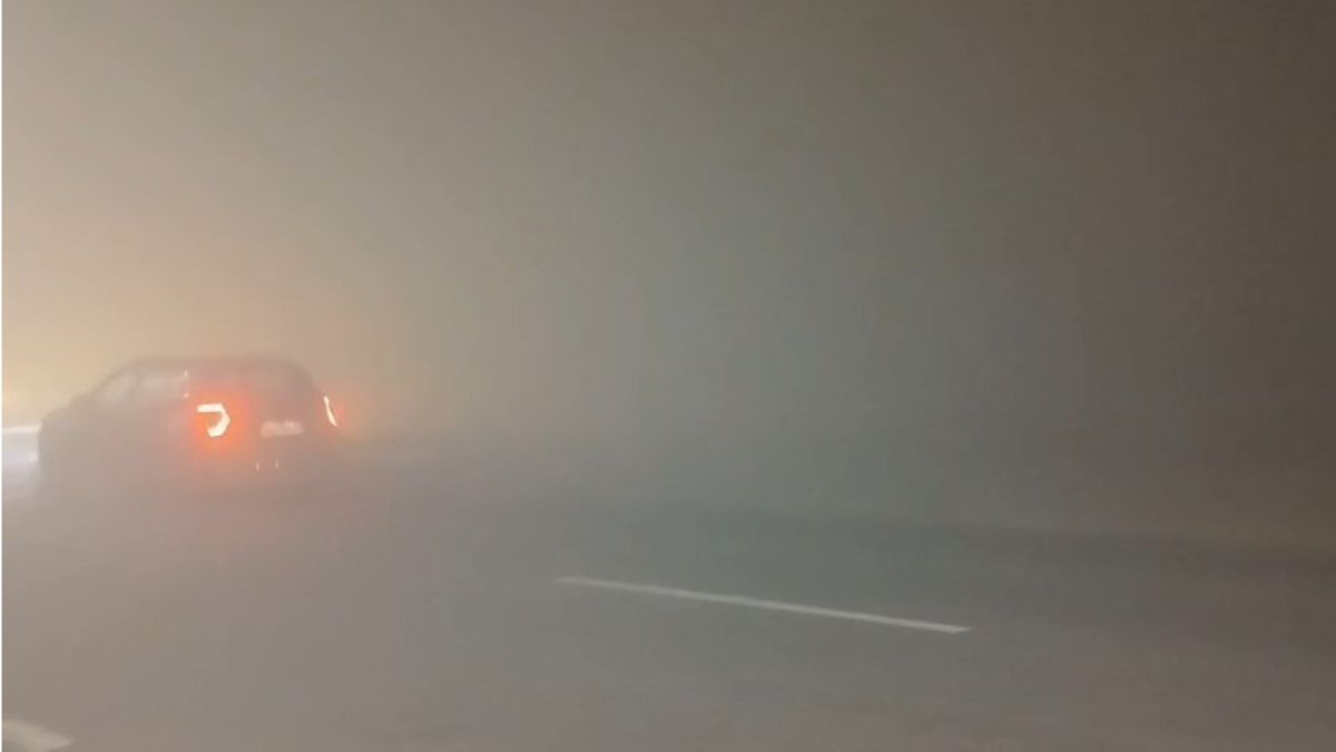 News Article Hero Image