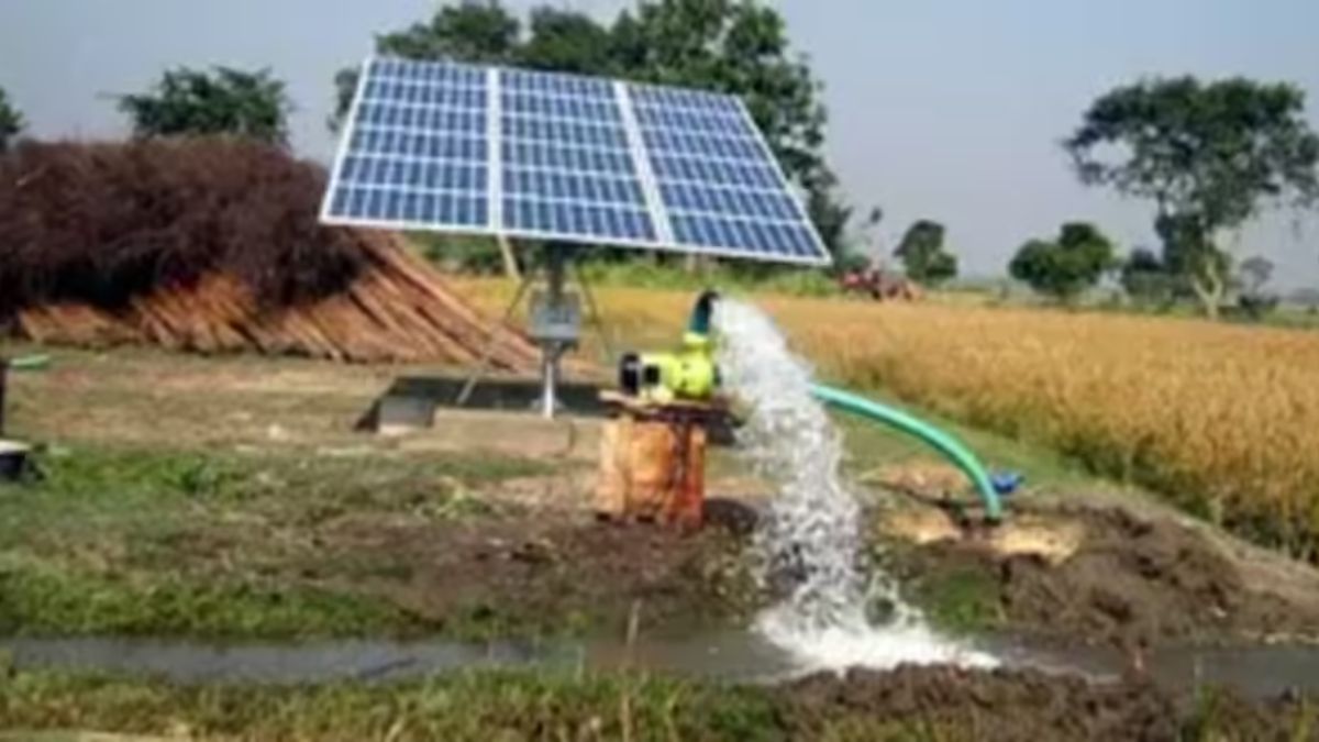 News Article Hero Image