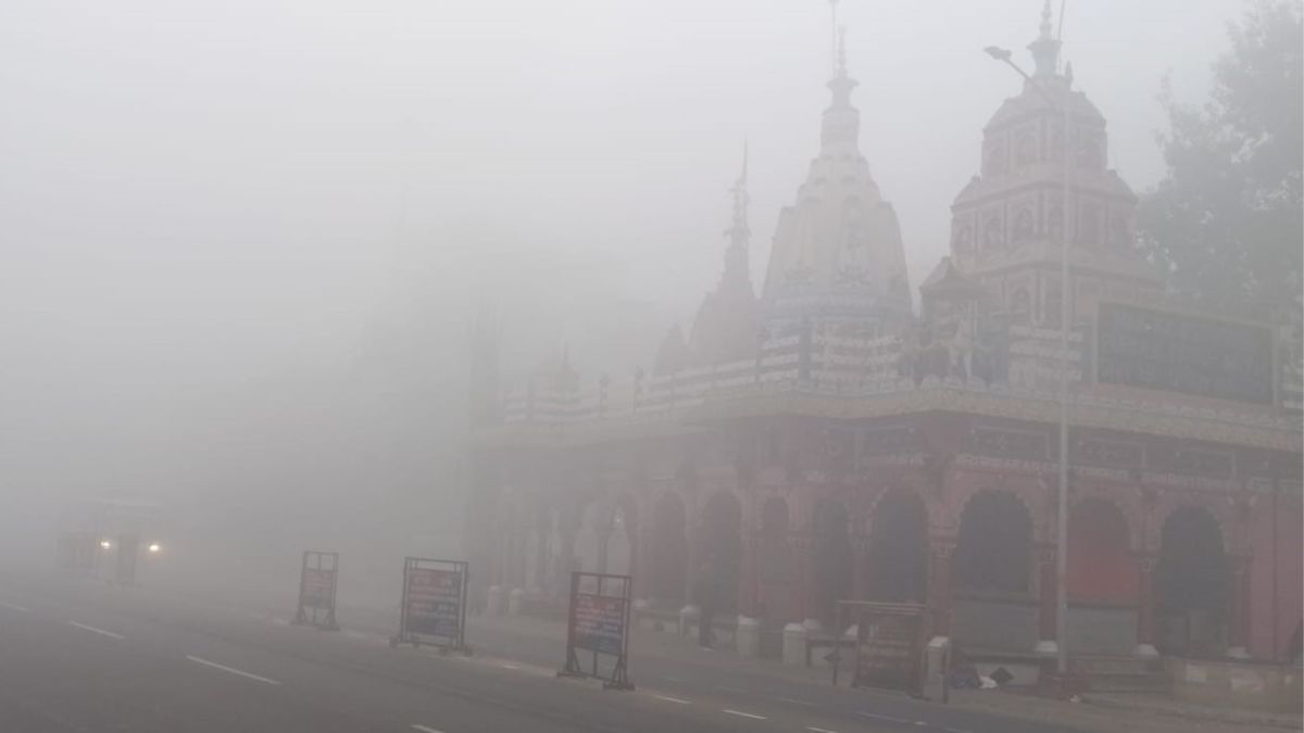 News Article Hero Image