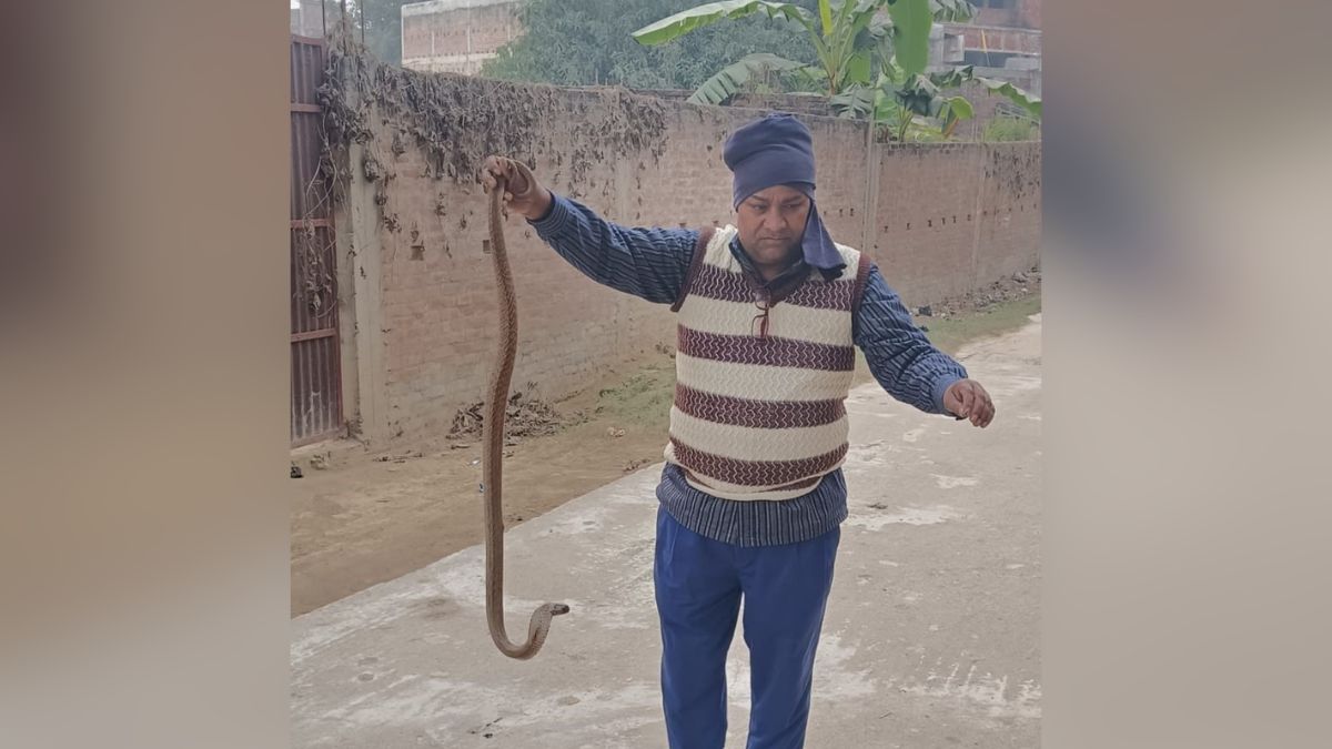 News Article Hero Image