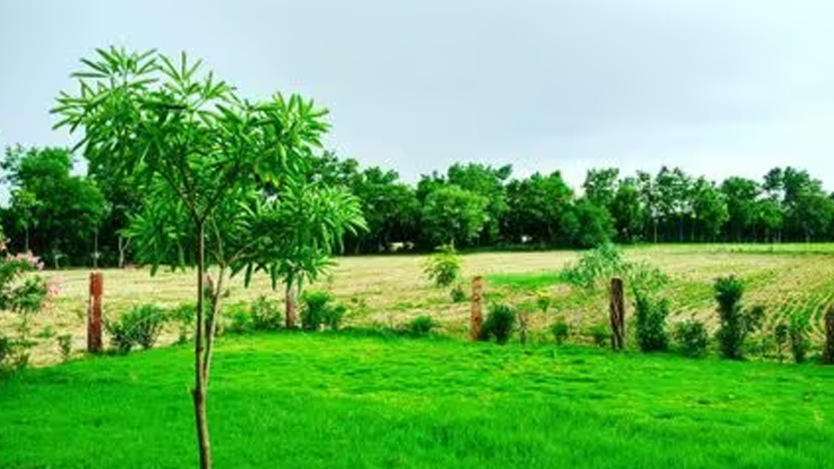 News Article Hero Image