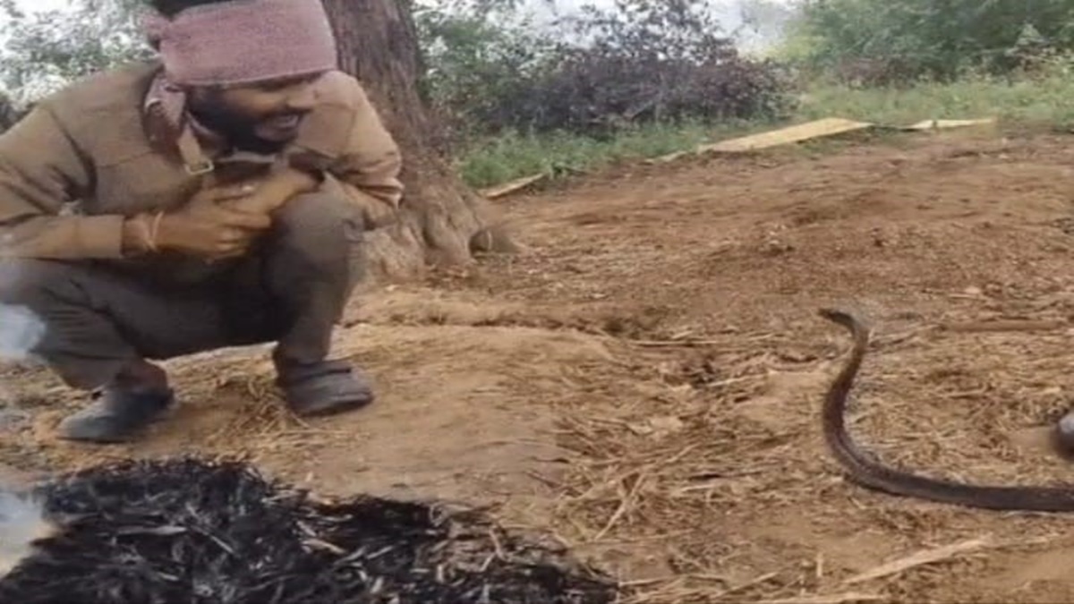 News Article Hero Image