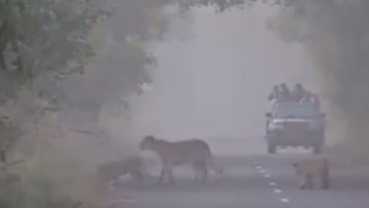 News Article Hero Image